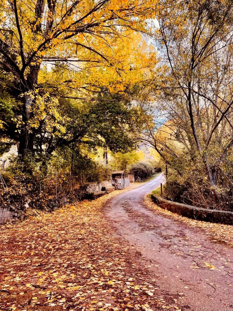 Alojamiento Rural Los Gancheros Tragacete Exterior foto